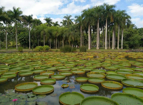 云南这座小城，四季如春十分舒适，是公认最适合居住的城市之一