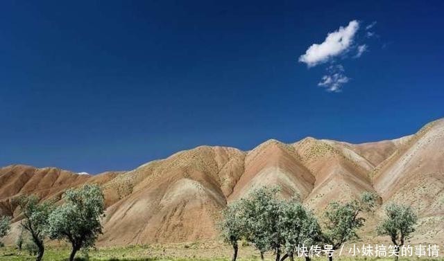 穆斯林世界唯一实行计划生育的国家,现在却后