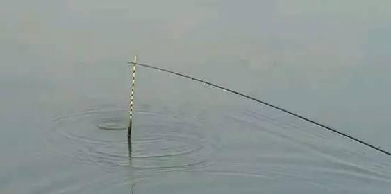  『水流』经常会发现，浮漂入水就倾斜？听我慢慢给你分析
