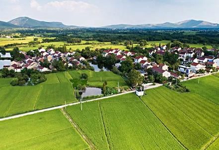  【农村】几十年以后，农村谁来种地？城市的房子谁住？原来如此