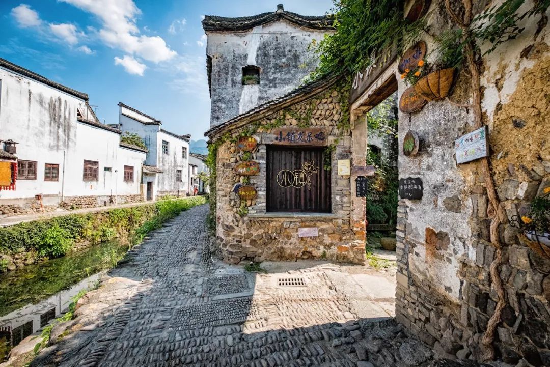 中国最美高铁,90分钟穿过57个国家级风景区,一站一景美哭了