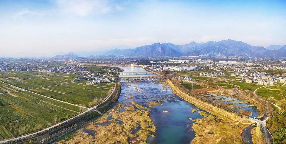  「表白」茶香松阳| 此刻，只想收下这份乡愁，表白这条长河