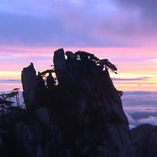 黄山,一个明知人多但还是要去的景区,适合用美景来舒缓自己压力