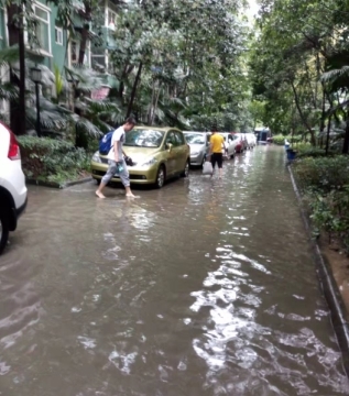 四川一夜雨，成都一小区里看河