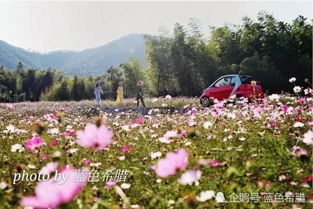  『拍摄』拍摄人像照片，新的模特，还是固定合作的模特，你会怎么选择？