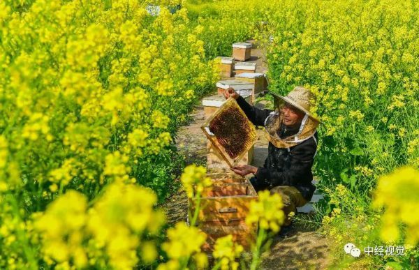  「花儿」你和花儿，一样美！