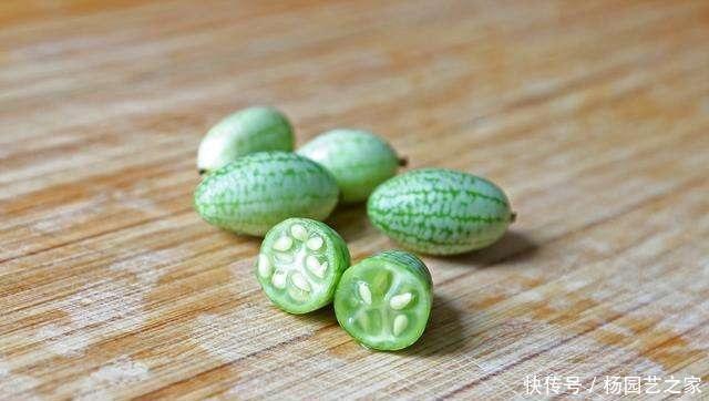个头:一种迷你西瓜个头小,口感爽脆一口一个,养在阳台周期短,可种!