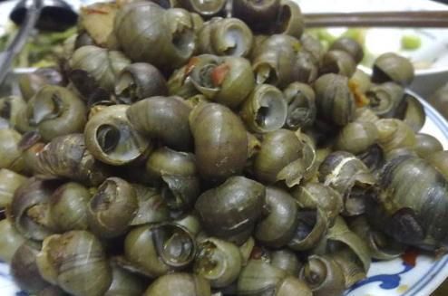  「盆里」兰花施肥，用这2种“壳”，食物废料也是宝，盆里扔几个叶茂花多