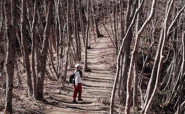  『快乐』Smartwool羊毛内衣、羊毛袜测评，快乐享受每一天