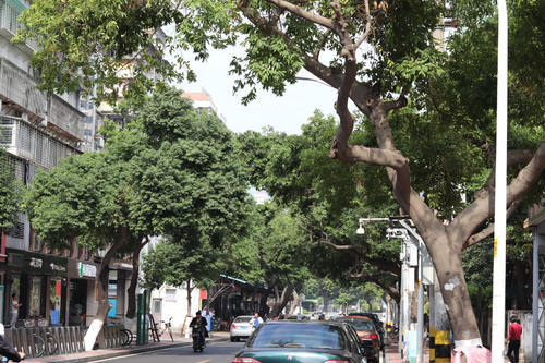 大雪将至，而这座城市却总是入冬失败，街上行人各种乱穿衣