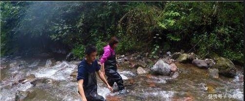  「89年」89年云南小伙养鱼年入290万，收集鱼苗走了6万里路，还