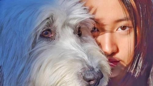  「清纯」终于放弃老气妆容！木村光希晒近照，清纯可爱酷似韩国爱豆