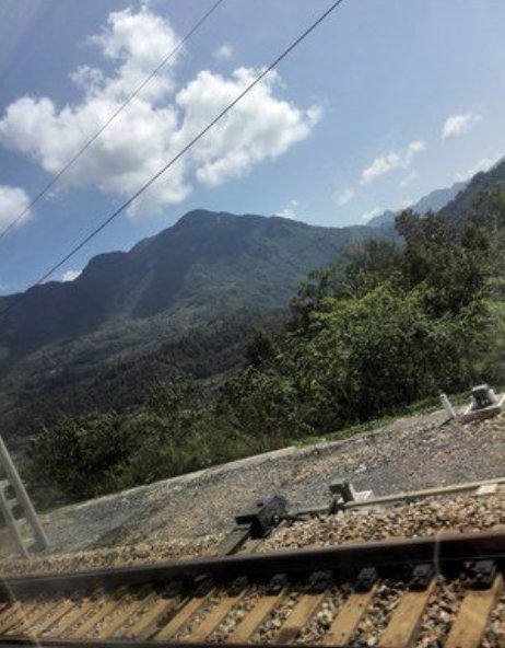  全程无：我国最令人“煎熬”的动车，7小时全程无信号？乘客：无