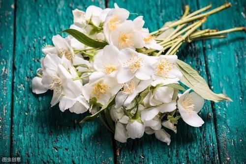  『花语』栀子花象征永恒的爱，栀子花怎么养？记住这些要点，小白也能养好