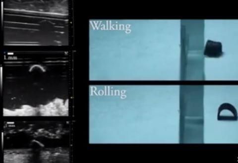 德国科学家研发软体机器人，通过磁场就可控制其行动