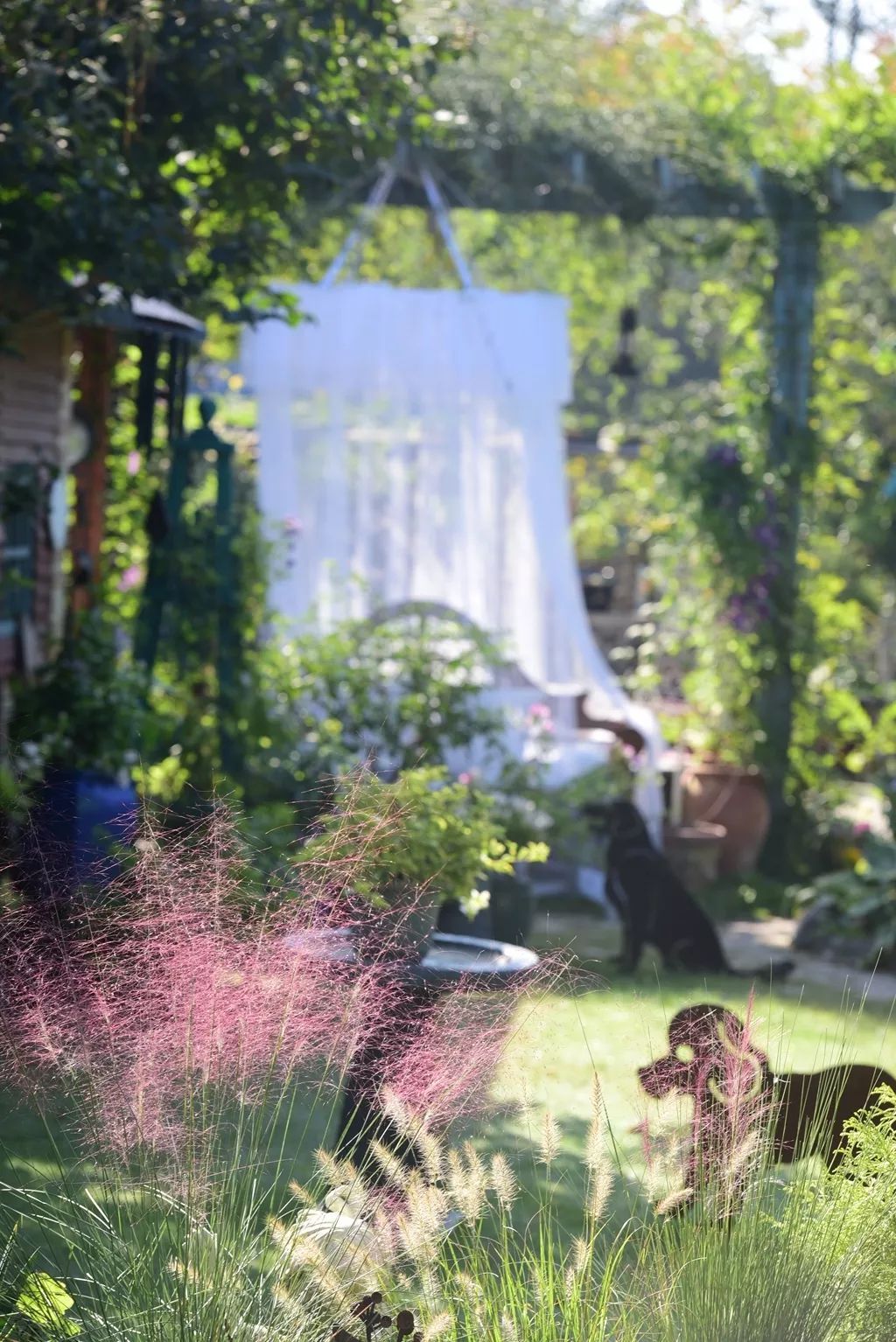 40岁高薪夫妇提前退休，造3000㎡花园惬意养老，还有酒坊！