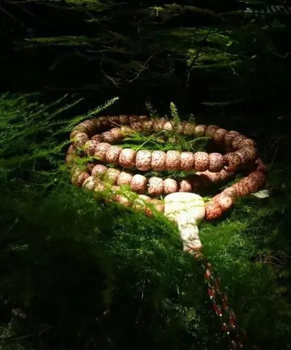 手串@炫耀手串用什么样的姿势，才能够达到最佳效果？