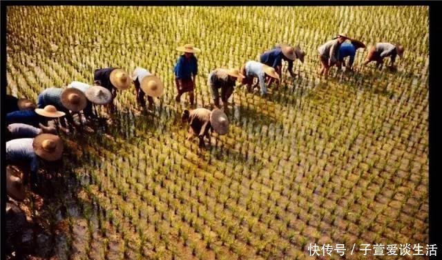  在海边|1971年中国农村真实老照片图2让人怀念、图10很多人一定