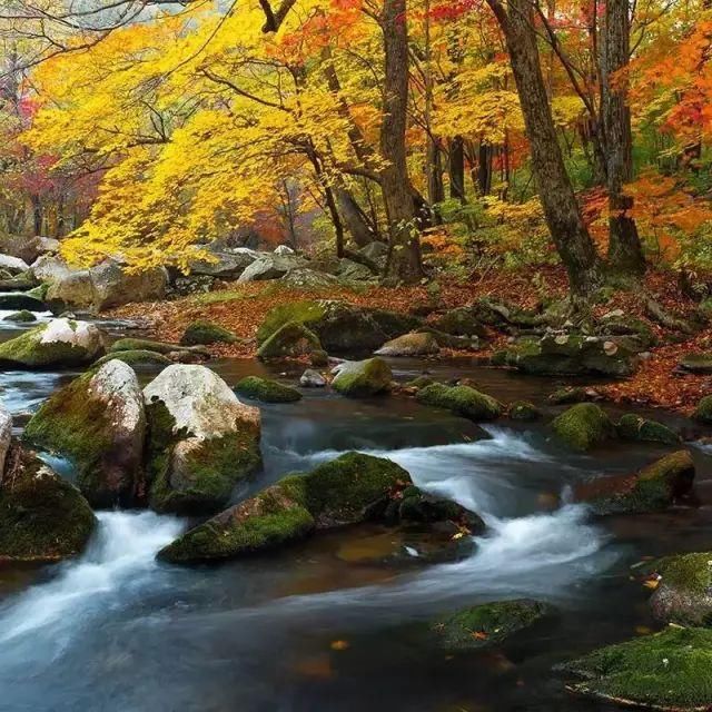 秦岭深藏敢与九寨沟媲美的地方！有条惊艳的自驾公路