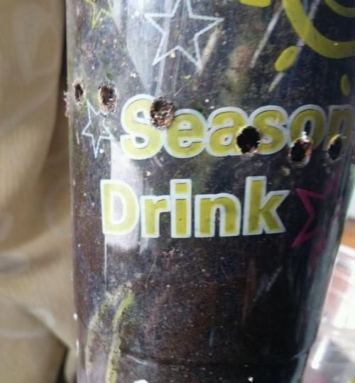  「爆炸」奶茶杯子种玉露，经济实惠又好用，个个都胖到爆炸！
