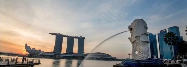 上海出发、无需中转，客运航班能直飞这么多国外目的地！