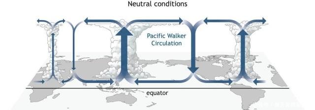 厄尔尼诺危机已爆发！菲律宾受影响出现严重干旱，我国亦应当小心