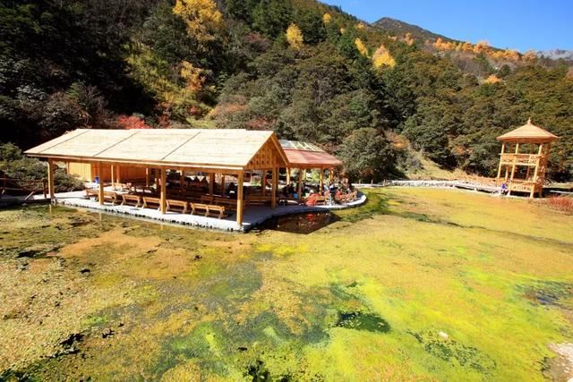 初秋自驾｜成都出发这条路线，藏着你向往的秋天！