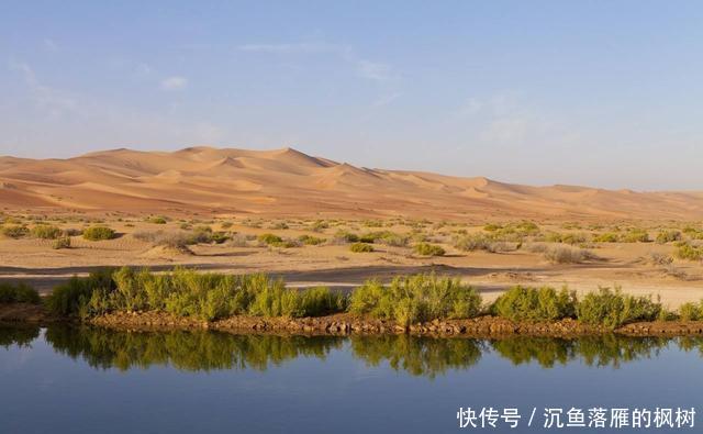  「猪肉」穆斯林为什么不吃猪肉 原来是在中东形成的