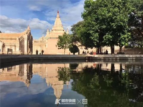 一群80岁杭州老人的缅甸之旅计划引发热议！有位51岁阿姨表示愿全