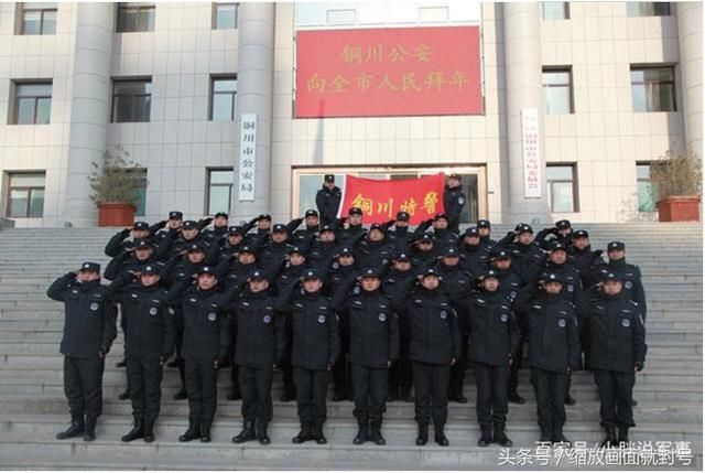 解读:公安局局长和政法委书记比,谁级别更高?