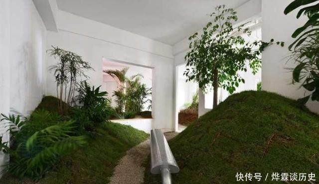  男人@3个男人把出租屋改造成公园, 物业很抓狂, 房东却高兴坏了