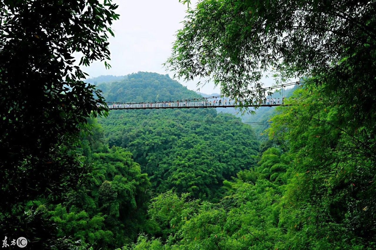 距地面162米的全国第一高空峡谷索桥，敢挑战吗?