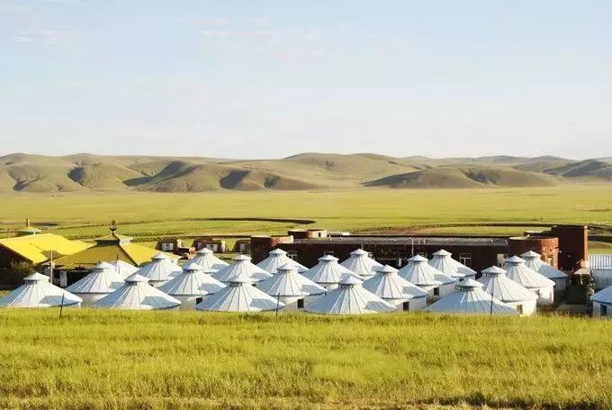 在呼伦贝尔大草原邂逅最美秋天!