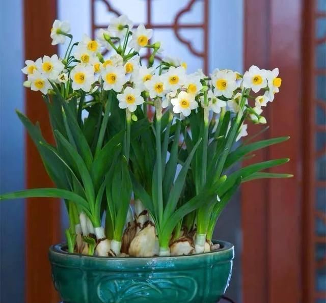  『沙子』沙子养花好处多，扦插、垫盆··样样行，爱养花的你赶紧了解下