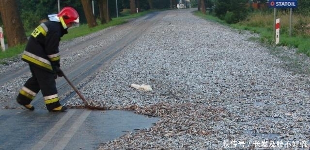  「开闸」上千条活鱼从天而落，这是什么怪事？网友：王母的瑶池