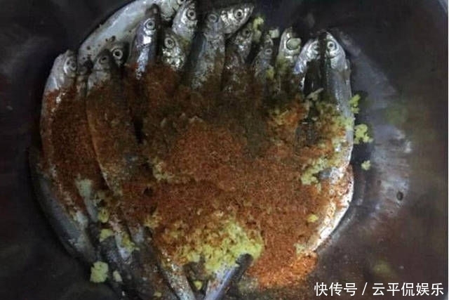 不折不扣:垂钓长江边,不折不扣的当了回“白条杀手”