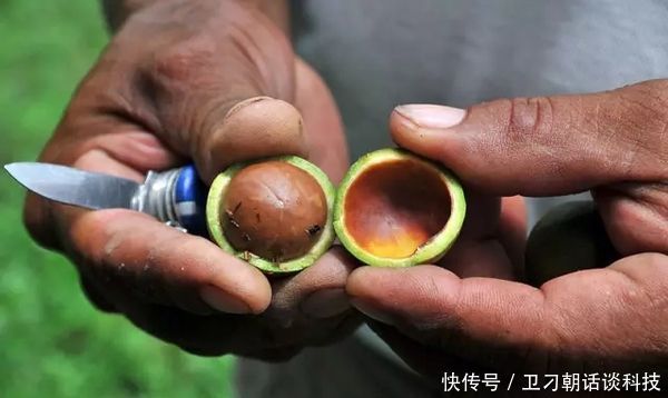  需求量@亩产400斤，一斤卖10元，市场需求量高，为何没多少农民