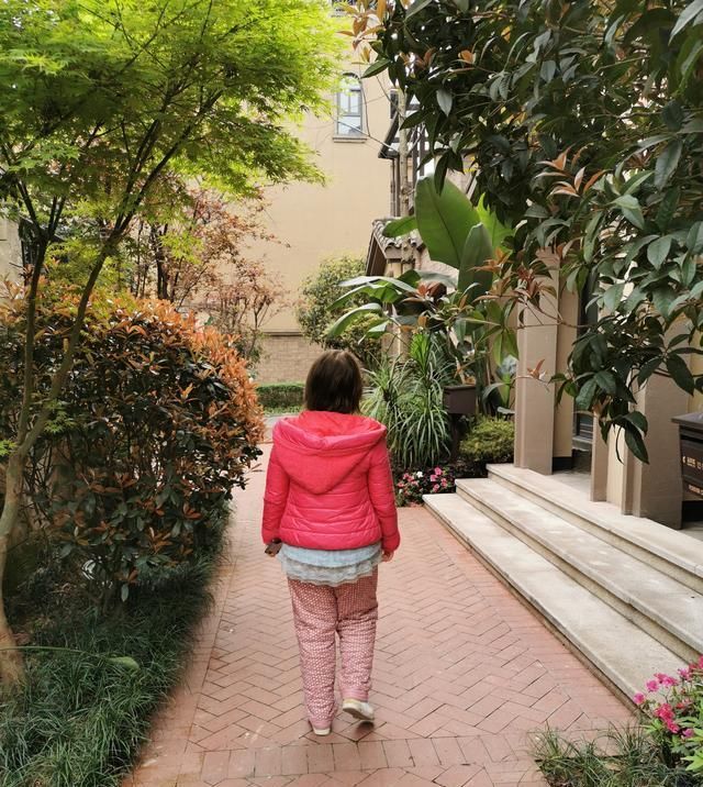 「小美飞」行万里路,不如高人指路——为啥肉肉小美飞一般地奔跑?