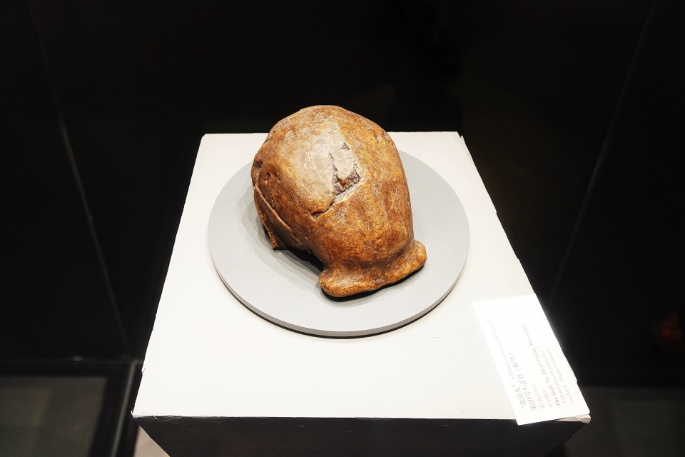 北京老年证如何办理