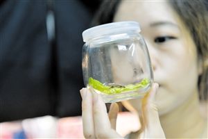 台湾美食 香飘海口