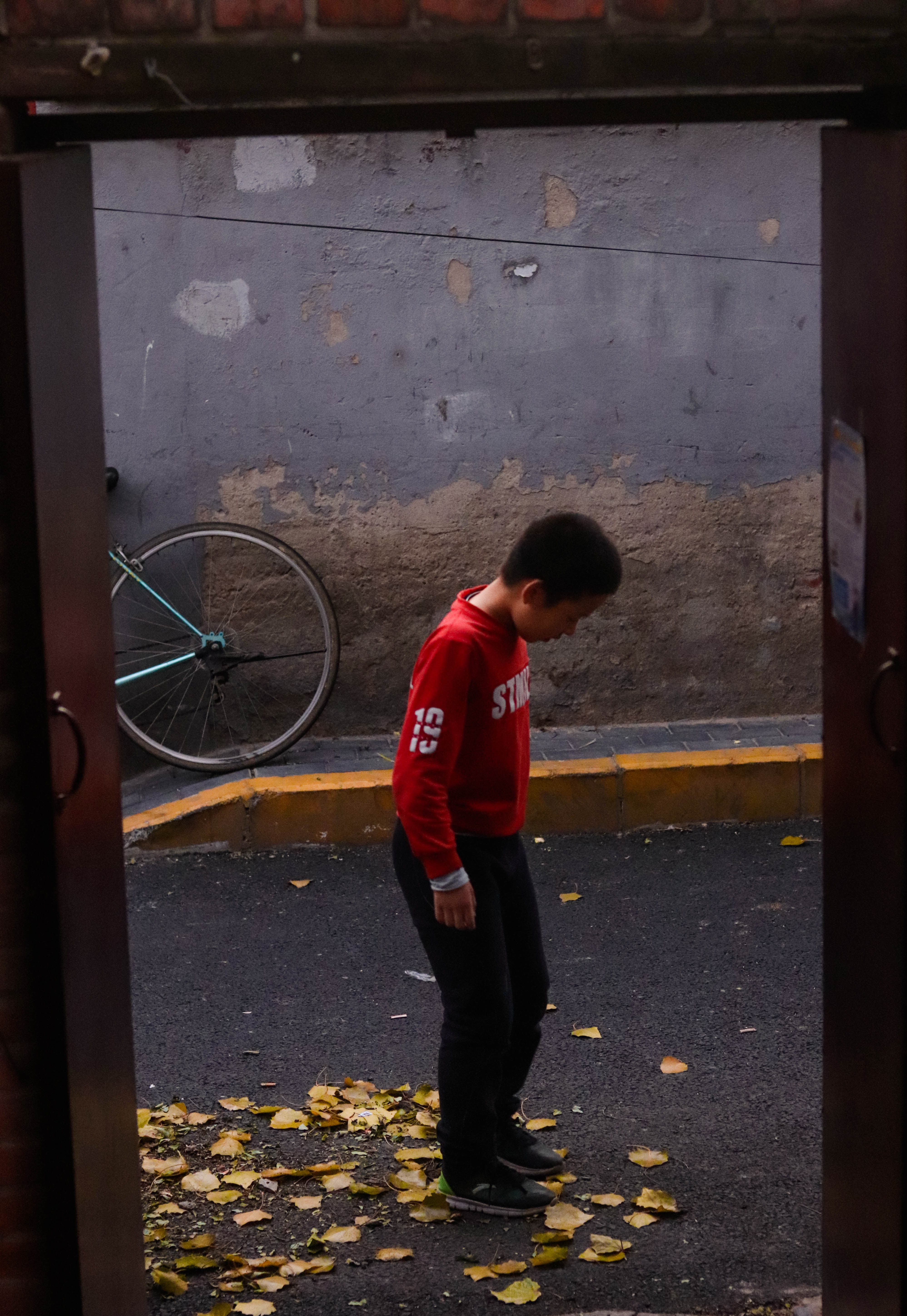 他愿付出生命的三分之二,只为留住北国秋天│北京表情