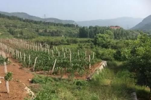  「补贴」2020年，“养老”补贴来了！一类人免交养老保险，农民