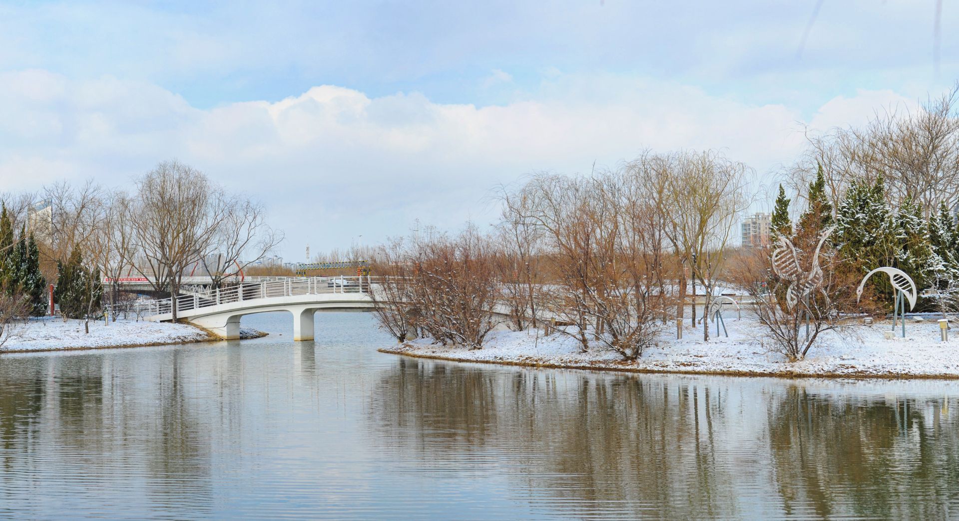  力量■战“疫”之城！力量之城！瑞雪里，大美德州