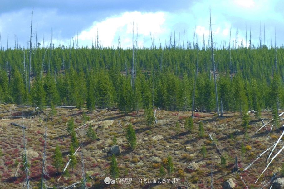 神奇黄石，世界国家公园的大哥大