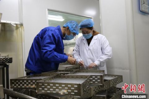  #生产车间内#山西太原药企复工急产“抗疫用药” 开足马力保供应