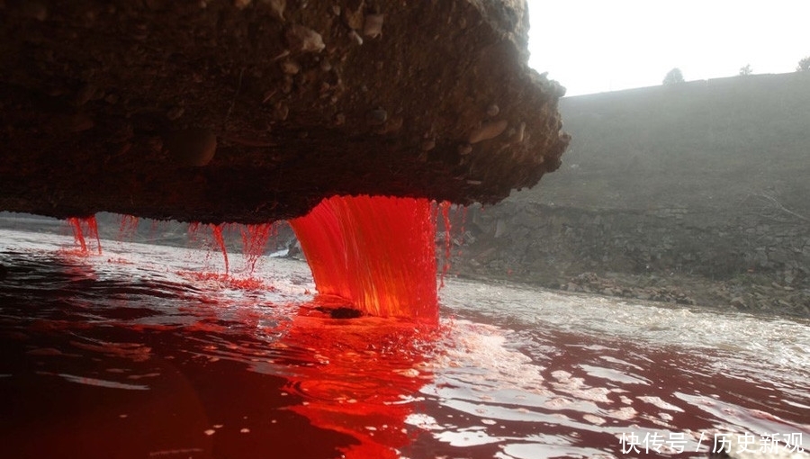 南极怎么了?一处冰川不断流出“血水”,里面藏着什么秘密?