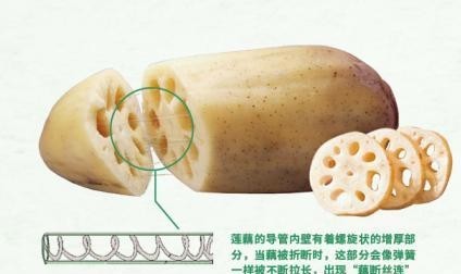『亚硝酸盐』美丽的莲花是如何从池塘一步步走上案台的?