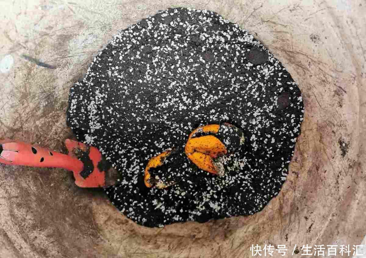死翘翘:想要养好花,3个方面要注意,不然花都死翘翘