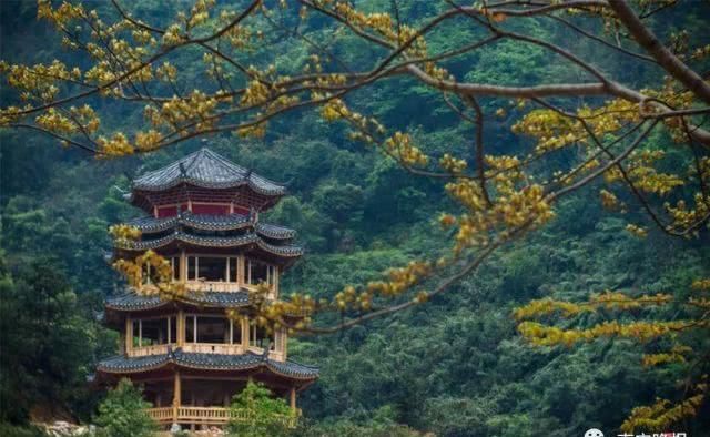 收藏!马山竟然还有这么多好玩的地方!