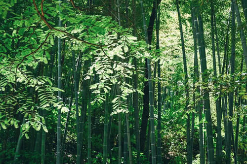  「桂林」广西省“发展最猛”的城市，不是首府南宁也不是桂林，